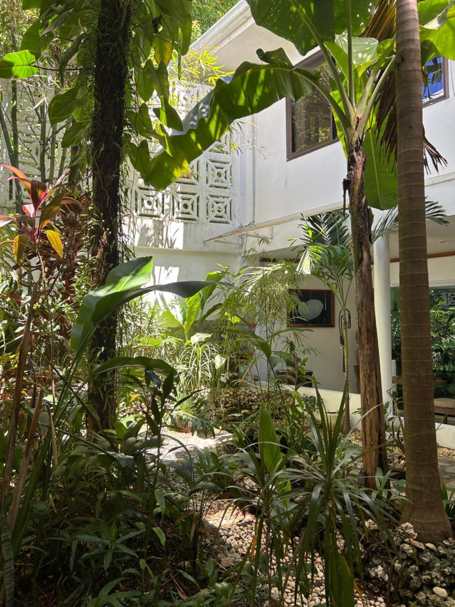 Argonauta Boracay Apartment Suites And Villas Boracay Island Eksteriør billede