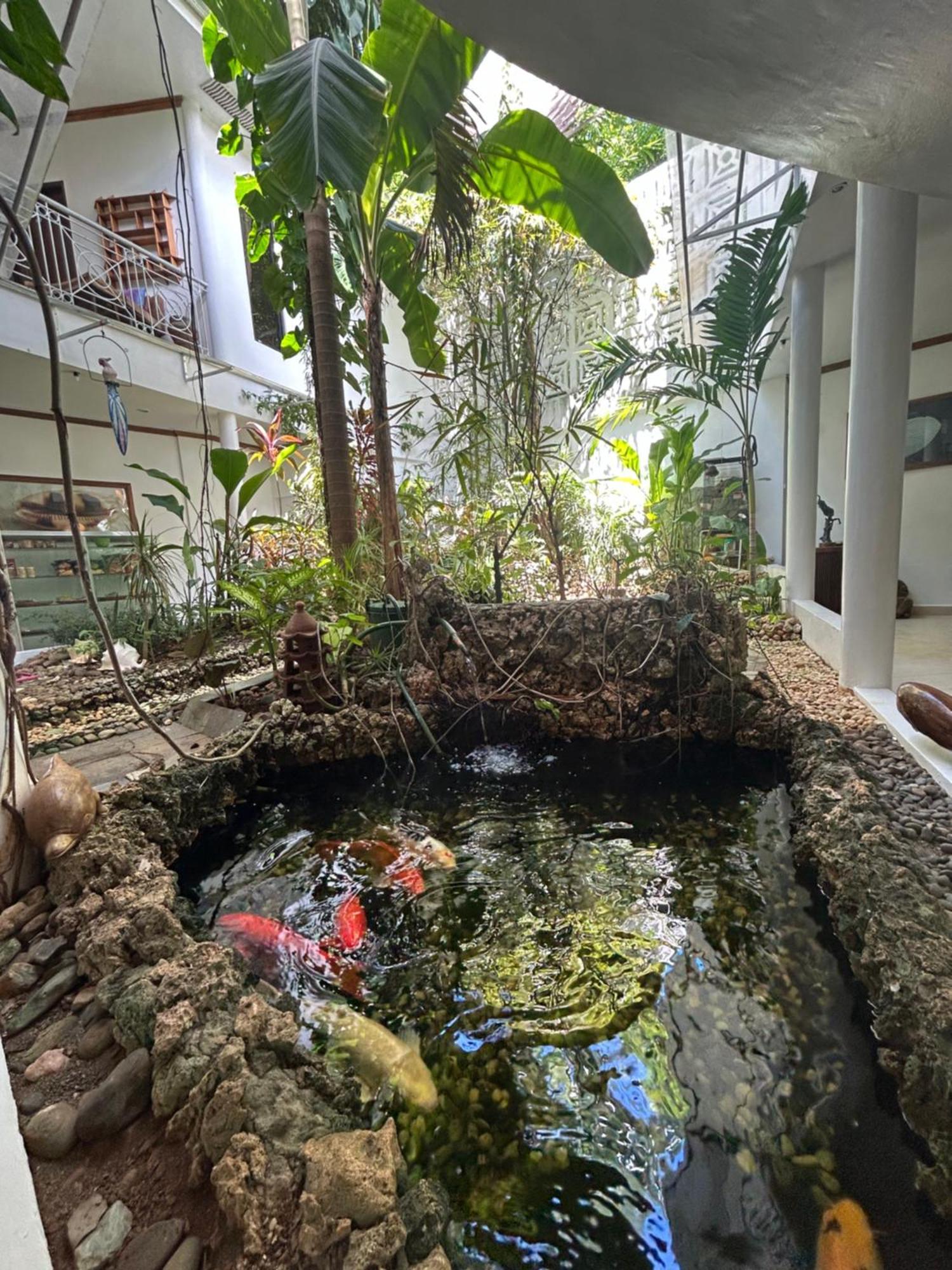 Argonauta Boracay Apartment Suites And Villas Boracay Island Eksteriør billede